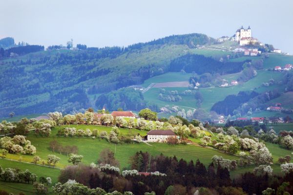 Moshammer Hotel & Restaurant (Waidhofen an der Ybbs)